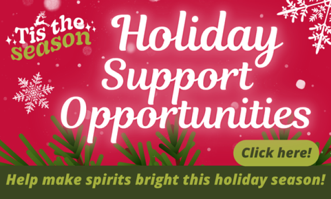 Holidays at the Home!